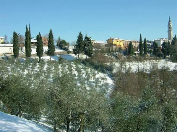 Degli Ulivi Hotel