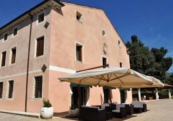 Degli Ulivi